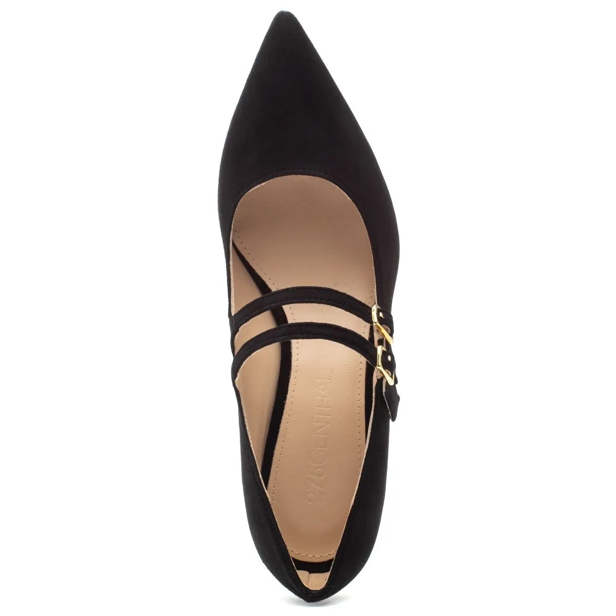 Francia Pump