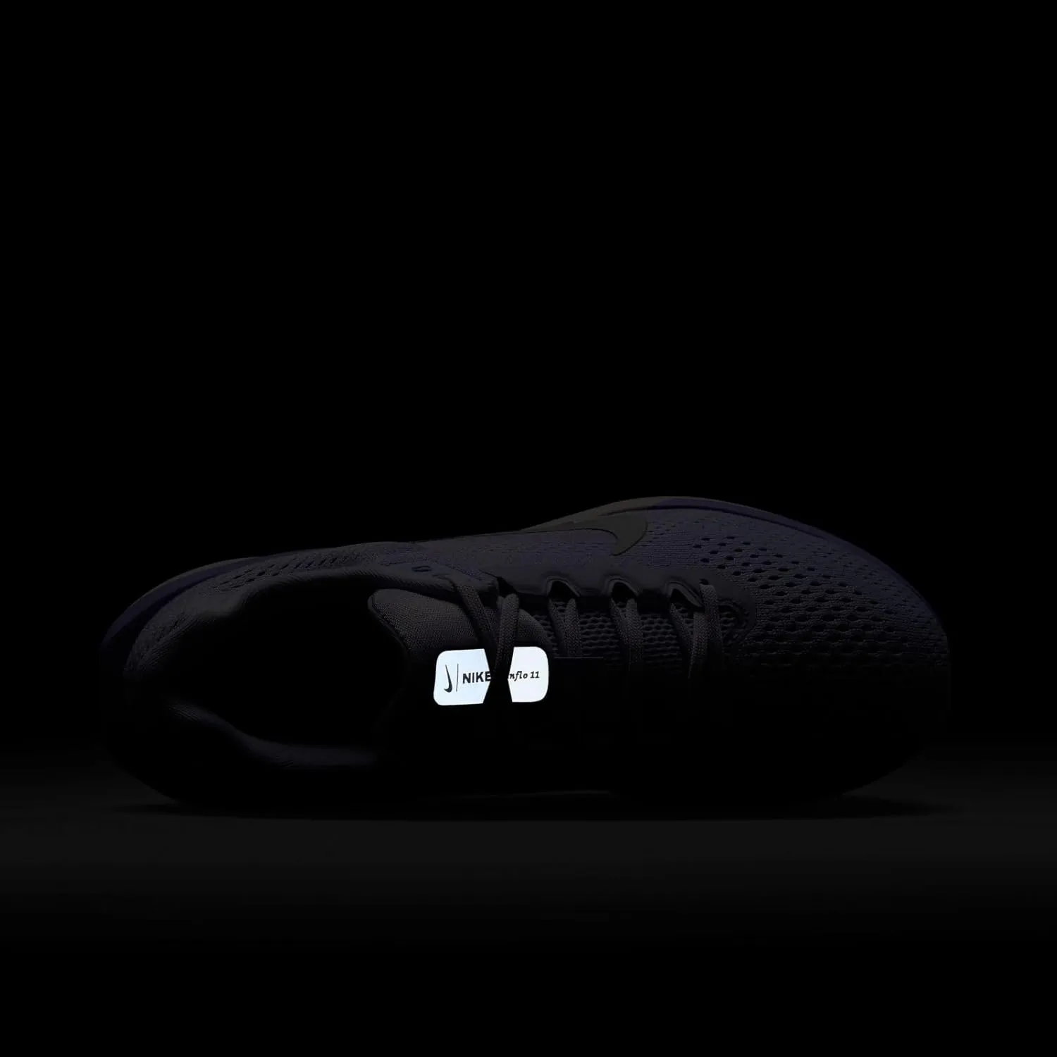 Nike Women's Winflo 11 Sneaker